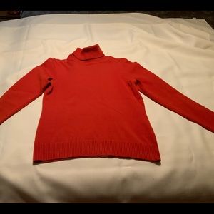 Banana Republic Merino Turtleneck